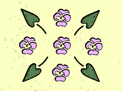 Violets Pack